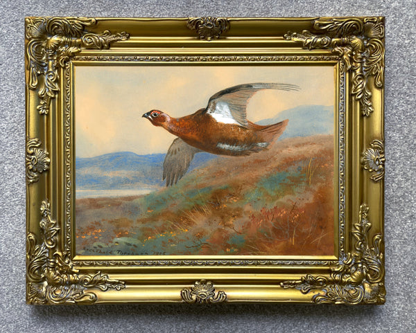 Fine Large Oleograph on Canvas of a Red Grouse