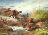 Fine Lithograph on Canvas - Red Grouse by a Pool