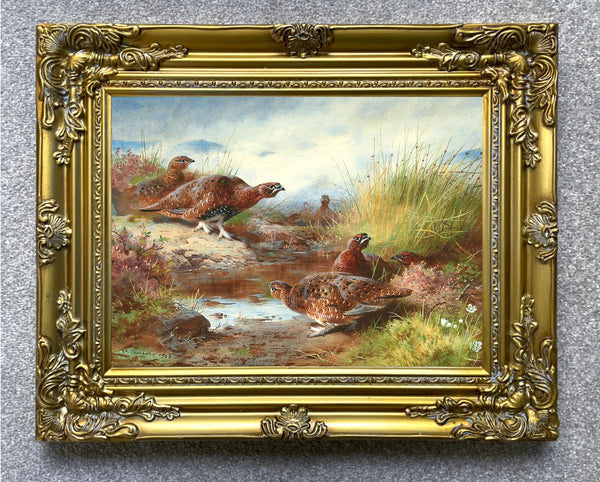 Fine Lithograph on Canvas - Red Grouse by a Pool