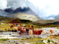 Fine Oleograph on Canvas of Highland Cattle crossing a Stream