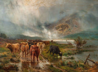 Highland Cattle watering - Fine Lithograph on Canvas after Bosworth Hurt