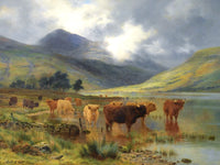 Fine Oleograph on Canvas of Highland Cattle watering by a Loch