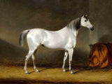 Oleograph on Canvas of a Grey Horse in a Stable