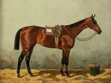 Fine Lithograph on Stretched Canvas of an English Thoroughbred in a Stable