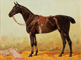 Fine Lithograph on Stretched Canvas of a Bay Horse in the Stable with Saddlecloth