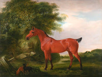 Oleograph on Canvas of an "Egyptian Pony" aft. the original by John Ferneley