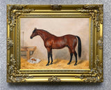 Fine Oleograph on Canvas - A Bay Racehorse in a Stall aft. Frank Paton