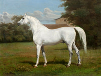 Excellent Lithograph on Canvas - Portrait of a Grey Horse in a Landscape