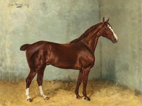 Excellent Oleograph on Canvas - Portrait of a Chestnut Horse in a Stable