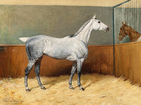 Fine Oleograph on Canvas - Dapple Grey Horse in a Stall