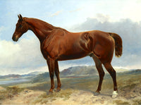 Fine Oleograph on Canvas - A Chestnut Horse in a Rural Landscape