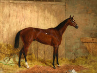 Superb Oleograph on Canvas - Racehorse in a Stable