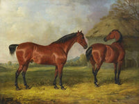 Fine Oleograph on Canvas of 2 Bay Horses in a  Rural Landscape