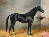 Excellent Oleograph on Canvas - Portrait of a Racehorse in a Stall