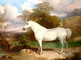 Fine Lithograph on Canvas - Portrait of a Grey Horse in a Landscape