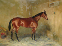 Fine Oleograph on Canvas - Bay Horse in a Stable