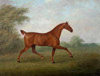 Excellent Oleograph on Canvas - Portrait of a Chestnut Stallion in a Landscape