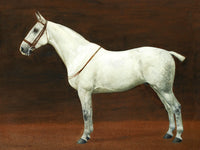 Fine Lithograph on Stretched Canvas of a Dapple Grey Horse aft. FM Hollams