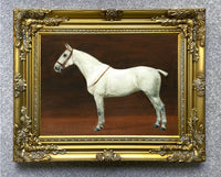 Fine Lithograph on Stretched Canvas of a Dapple Grey Horse aft. FM Hollams