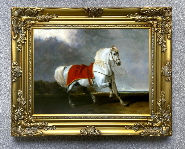 Fine Oleograph on Canvas of the White Arab Stallion "Millenium" aft. Abraham Cooper