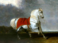 Fine Oleograph on Canvas of the White Arab Stallion "Millenium" aft. Abraham Cooper