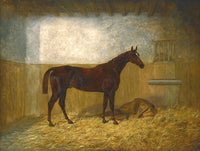 Fine Oleograph on Canvas of a Bay Racehorse in a Loose Box