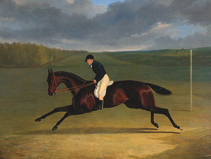 Fine Oleograph on Canvas of the Racehorse 