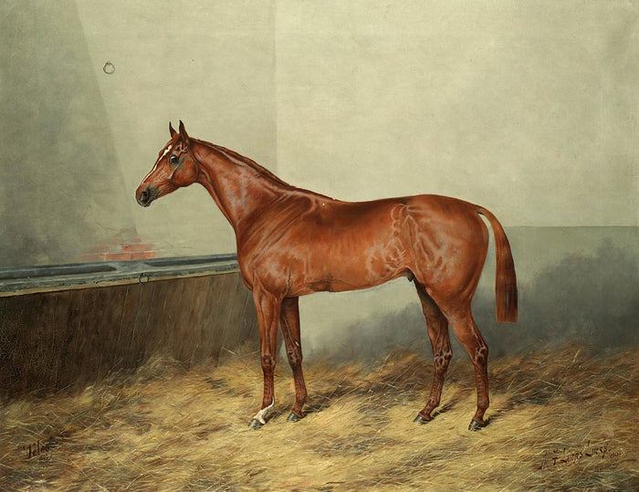 Oleograph on Canvas of The chestnut, 