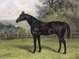 Fine Oleograph on Canvas of Racehorse "Sentinel" in a Rural Landscape