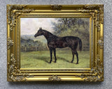 Fine Oleograph on Canvas of Racehorse "Sentinel" in a Rural Landscape