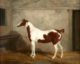 Fine Oleograph on Canvas of a Skewbald Horse in a Stable