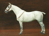 Fine Oleograph on Canvas of a Dapple Grey Gelding