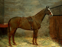 Fine Oleograph on Canvas of a Bay Hunter in a Stall