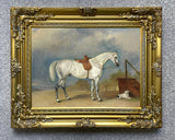 Fine Oleograph on Canvas - A side-saddled grey hunter aft. John Ferneley