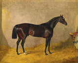 Fine Lithograph on Canvas - A Dark Bay Racehorse in a Stall