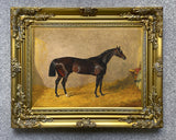 Fine Lithograph on Canvas - A Dark Bay Racehorse in a Stall