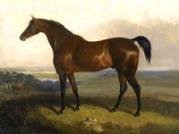 Fine Oleograph on Canvas of Bay Horse in a Landscape aft. John Boultbee