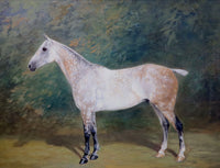 Fine Oleograph on Canvas of a Dapple Grey Hunter