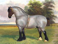 Fine Oleograph on Canvas of a Grey Shire Horse in a Landscape