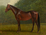 Fine Oleograph on Canvas - A Thoroughbred in a Landscape aft. A Bierstadt