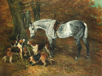 Fine Oleograph on Canvas - Dapple Grey Horse with Hounds  aft. John Ferneley