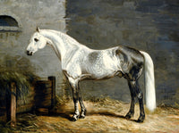 Oleograph on Canvas of a Dapple Grey Horse in a Stable