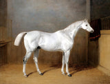 Fine Lithograph on Stretched Canvas - Grey Stallion in a Stable