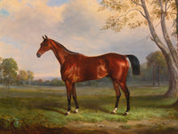 Fine Oleograph on Canvas - Bay Horse by a Tree