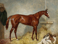 Fine Oleograph on Canvas - A Bay Racehorse in a Stable at. Harry Hall