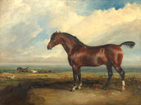 Oleograph on Canvas of a Bay Hunter in a Landscape