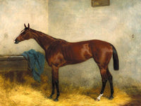 Fine Lithograph on Stretched Canvas of a Racehorse in a Stable aft. Harry Hall