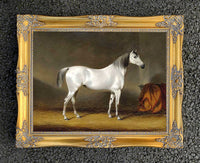 Oleograph on Canvas of a Grey Racehorse in a Stable