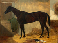 Oleograph on Canvas of a Bay Horse with a Kitten