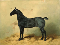 Oleograph on Canvas of a Black Horse in a Stable